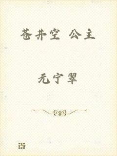苍井空 公主